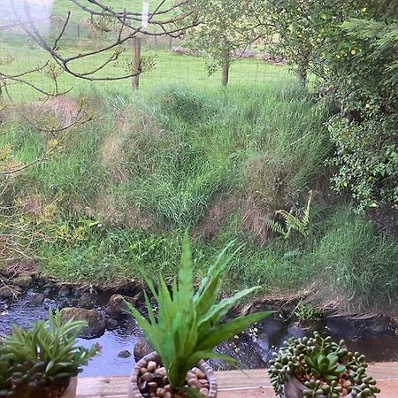 Fallburn Hideaway Martinstown Extérieur photo