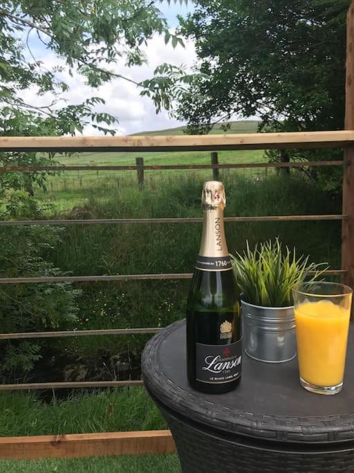 Fallburn Hideaway Martinstown Extérieur photo