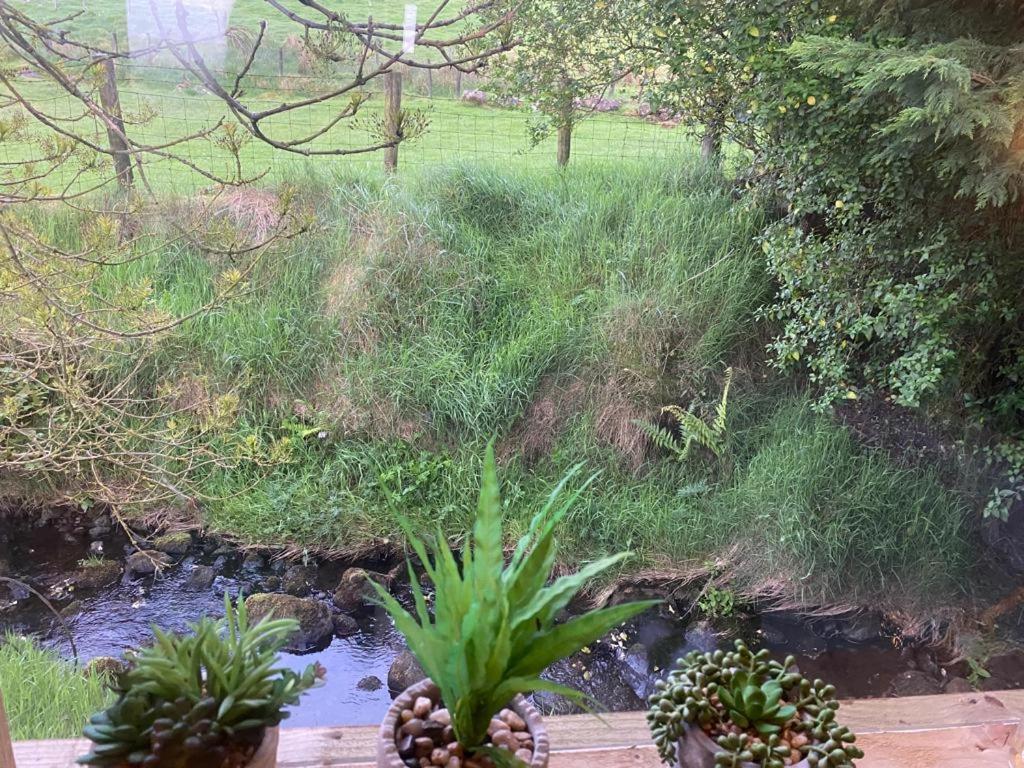 Fallburn Hideaway Martinstown Extérieur photo