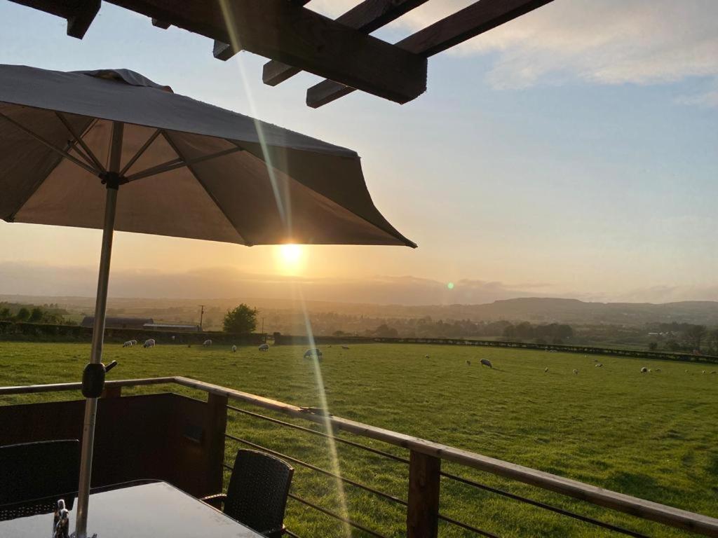 Fallburn Hideaway Martinstown Extérieur photo